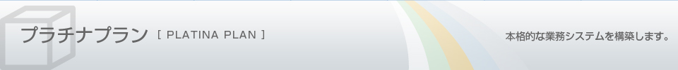 プラチナプラン　本格的な業務システムを構築します。